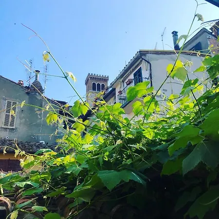 Uva Fragola 3* Perugia