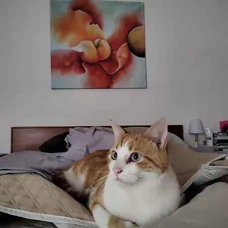 Uva Fragola Frühstückspension Perugia