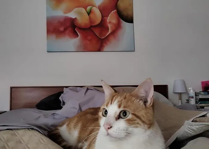 Uva Fragola Frühstückspension Perugia