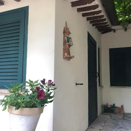 Uva Fragola 4*