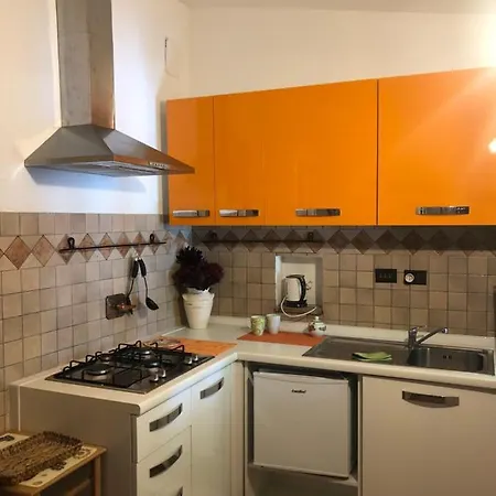 Uva Fragola 4*