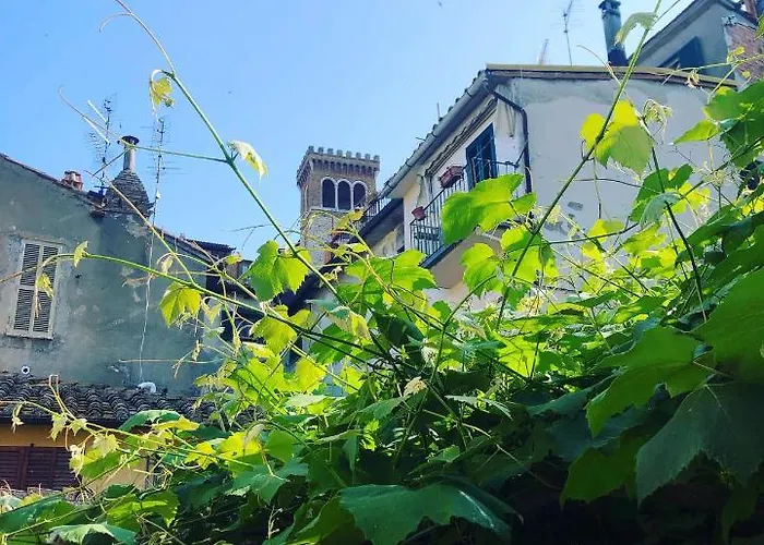 Uva Fragola 3* Perugia